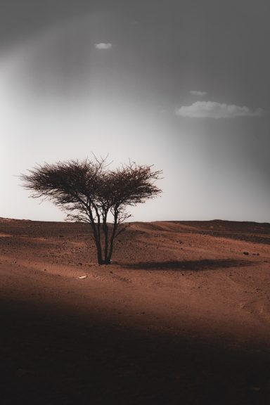 MERZOUGA