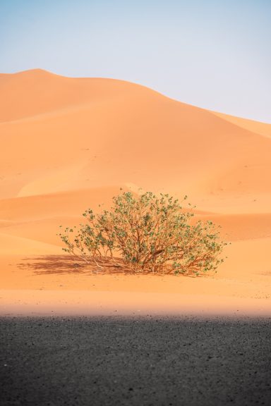 MERZOUGA